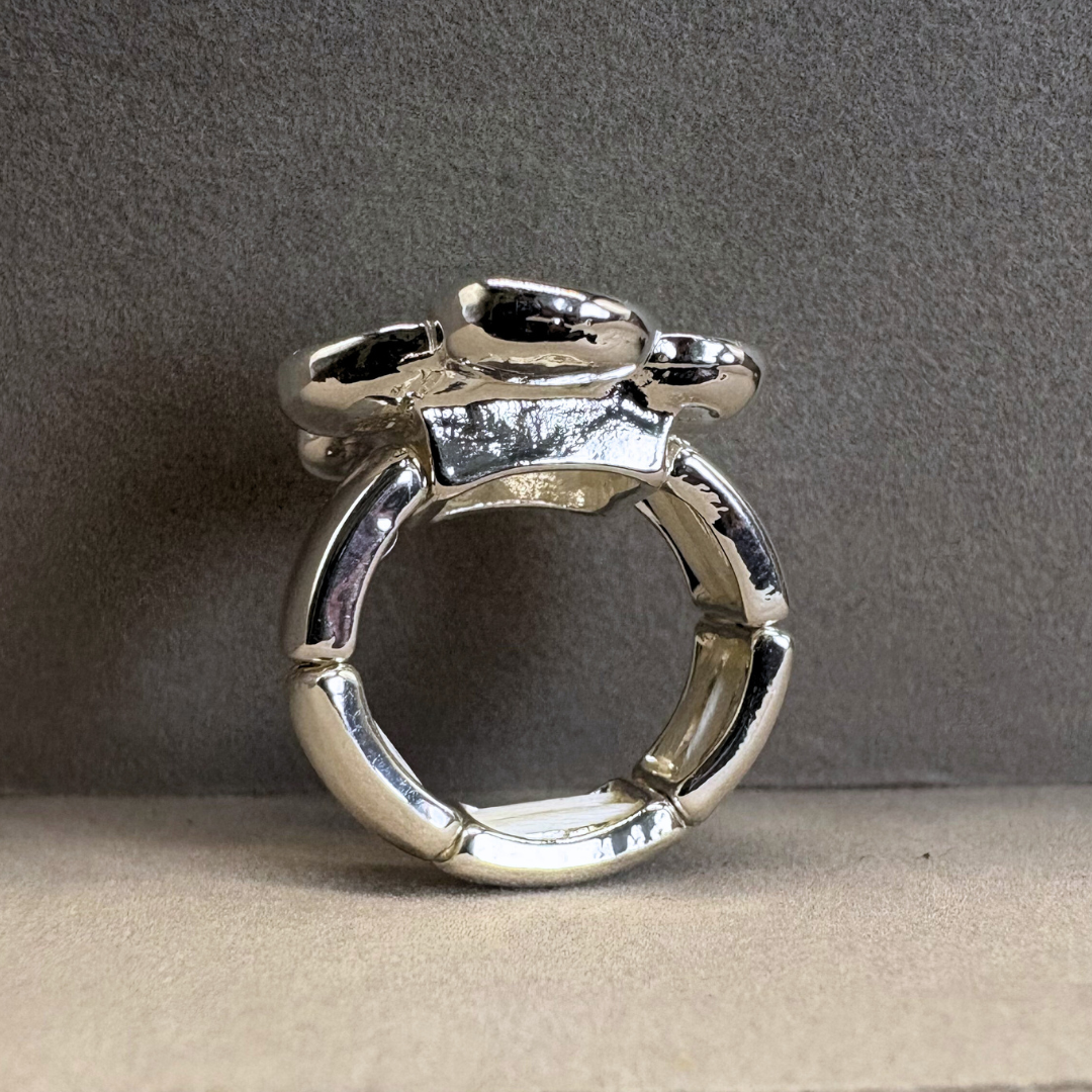 The Disc Cluster Elastic Adjustable Ring